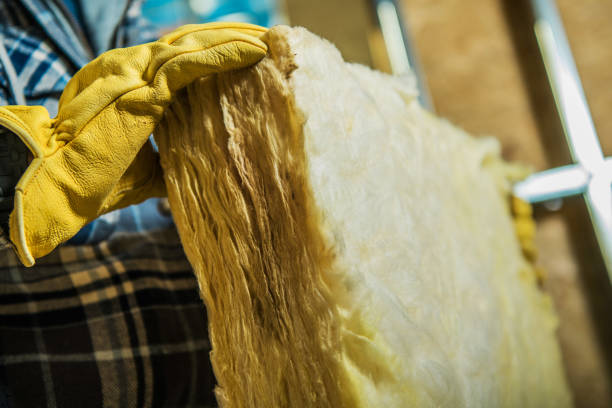Best Insulation Installation Services in Piedmont, SD