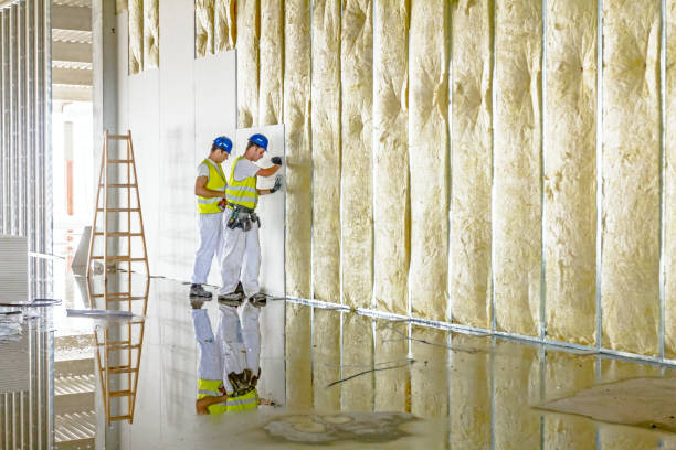 Reliable SD Insulation Contractor Solutions